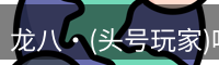 龙八·(头号玩家)唯一官方网站